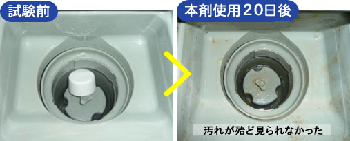 本剤使用20日後